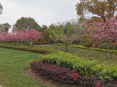 -昆山城市生态森林公园