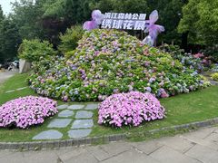-上海滨江森林公园