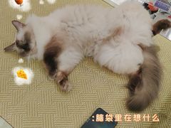 -仁贵糕点(旌旗西路店)