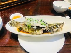-十八棵（老龙井）御茶园(老龙井店)