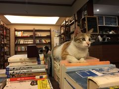 -看书吧(体育东横路店)