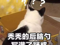 -思味特(纬一路店)