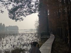 -东湖落雁景区