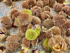 -大泽山风景名胜区