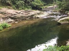 -宁波浙东大竹海景区