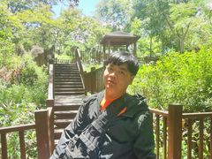 -聚龙山公园