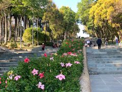 -深圳国际园林花卉博览园