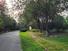 -永定河休闲森林公园