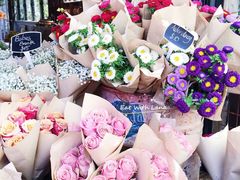 大堂-The Grounds of Alexandria