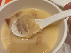 原盅花胶皇鸡炖翅-海都六福酒家(世博广场店)
