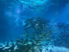 -常州海昌海洋探索馆