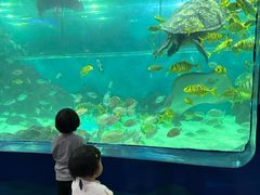 -苏州海洋馆