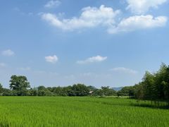 -良渚古城遗址公园