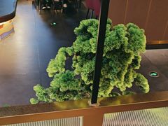 -宏宴·新京菜(望京店)