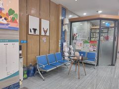 -瑞派名望志远动物医院·猫科·內科·异宠专科(直港大道店)