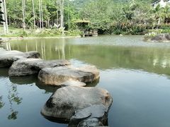 -呀诺达热带雨林