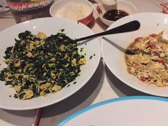 -杨氏青龙虾·羊蝎子(金盛路总店)