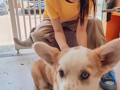 -平行世界·猫咖(首经贸店)