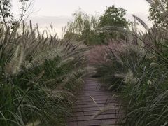 -柳鹭田园区