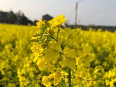 -翠亭酒家(山西南路店)