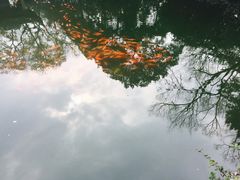 -西湖外事游船(花港观鱼码头)