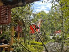 -青城甲(青城山店)