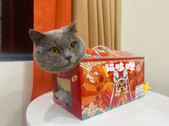 -桉树林A coffee 森林餐厅(三圣乡店)