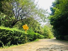 -三圣花乡旅游区