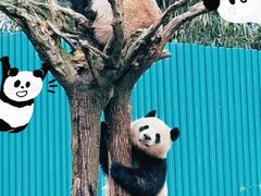 -乐和乐都主题乐园