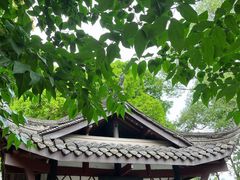 -桂湖森林公园