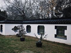 -扬州大运河文化旅游度假区·盆景园