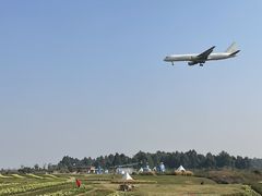 -空港花田景区