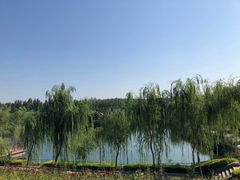 -西安汉城湖景区