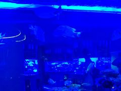 -上和臻品中国菜(花园街店)