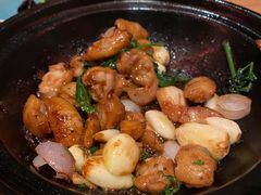 -人间酒暖·Go blanc·烧鸟·深夜食堂(陆家嘴店)