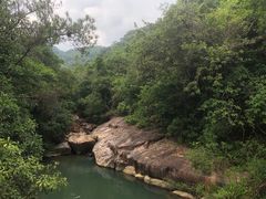 -广州白江湖森林公园