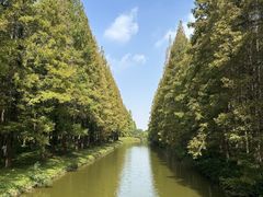 -黄海国家森林公园