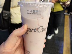 -一只酸奶牛(八一路店)