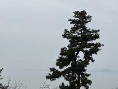 -巢湖姥山岛
