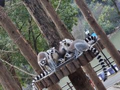 -宁波野生动物园