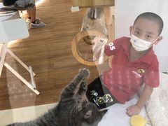 -COLOR PETS 撸猫馆·购猫·猫咖(长风大悦城店)