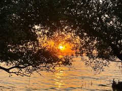 -宝安西湾红树林湿地公园