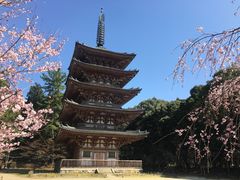 -醍醐寺