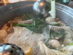 -润园四季椰子鸡火锅(海上世界店)