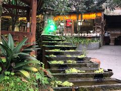 -青城甲(青城山店)