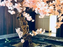 -提香日本料理
