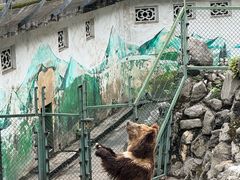 -成都动物园