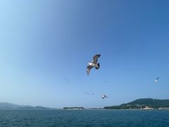 -刘公岛景区