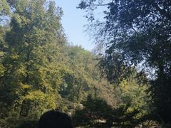 -岳麓山风景名胜区