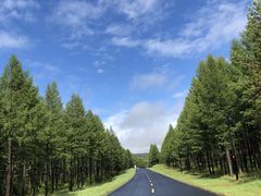 -塞罕坝国家级自然保护区